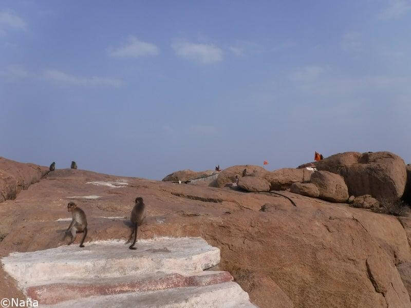 Hanuman temple